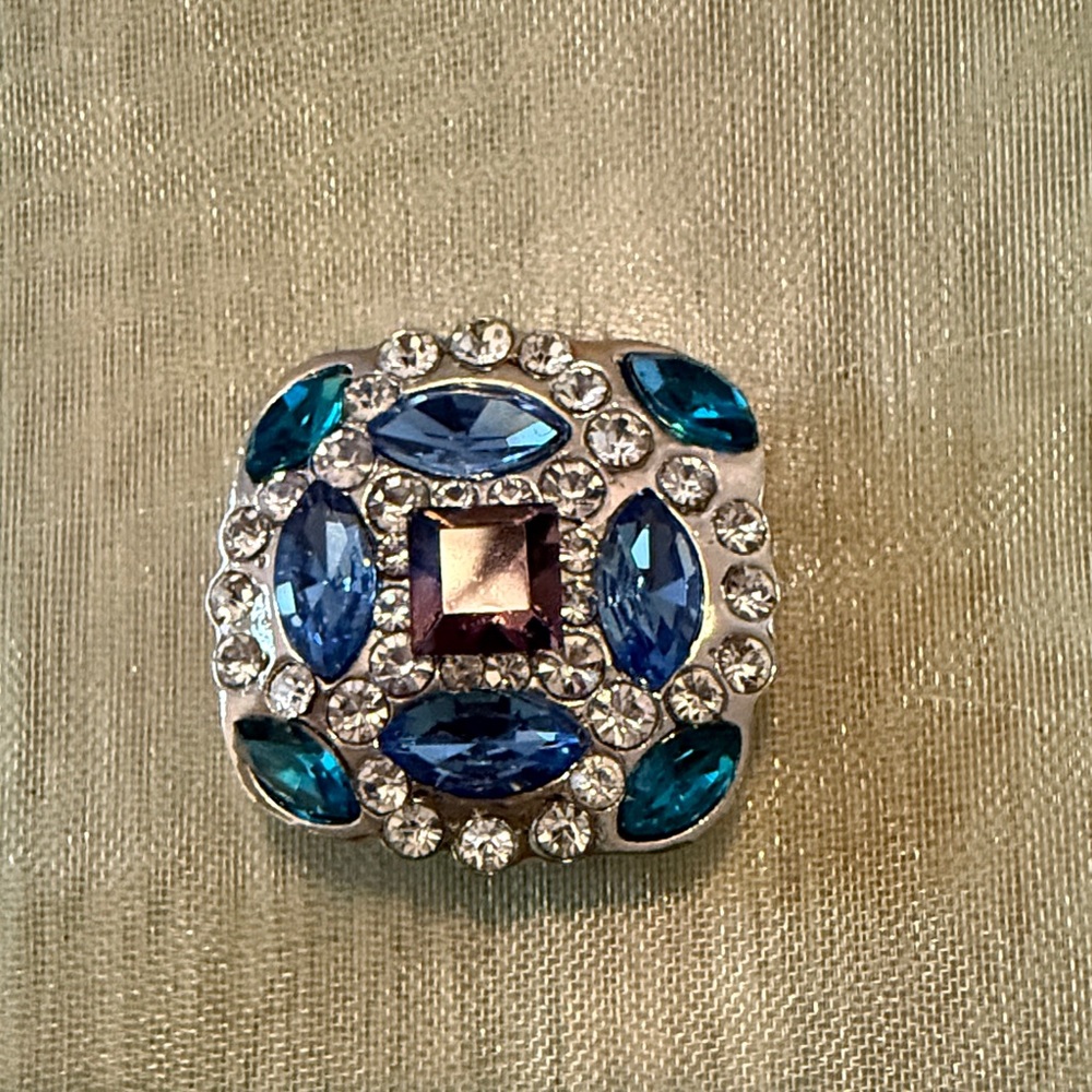 Elegant Blue and Silver Ginger Snap - Picture 2 of 3